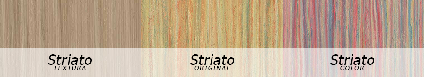 striato strukturen